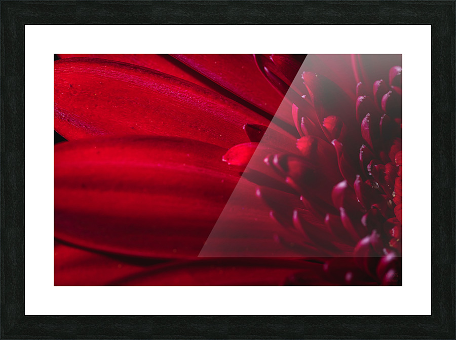 Red mood 5 Picture Frame print