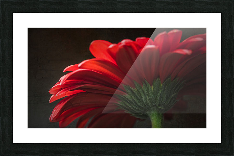 Red mood 8 Picture Frame print