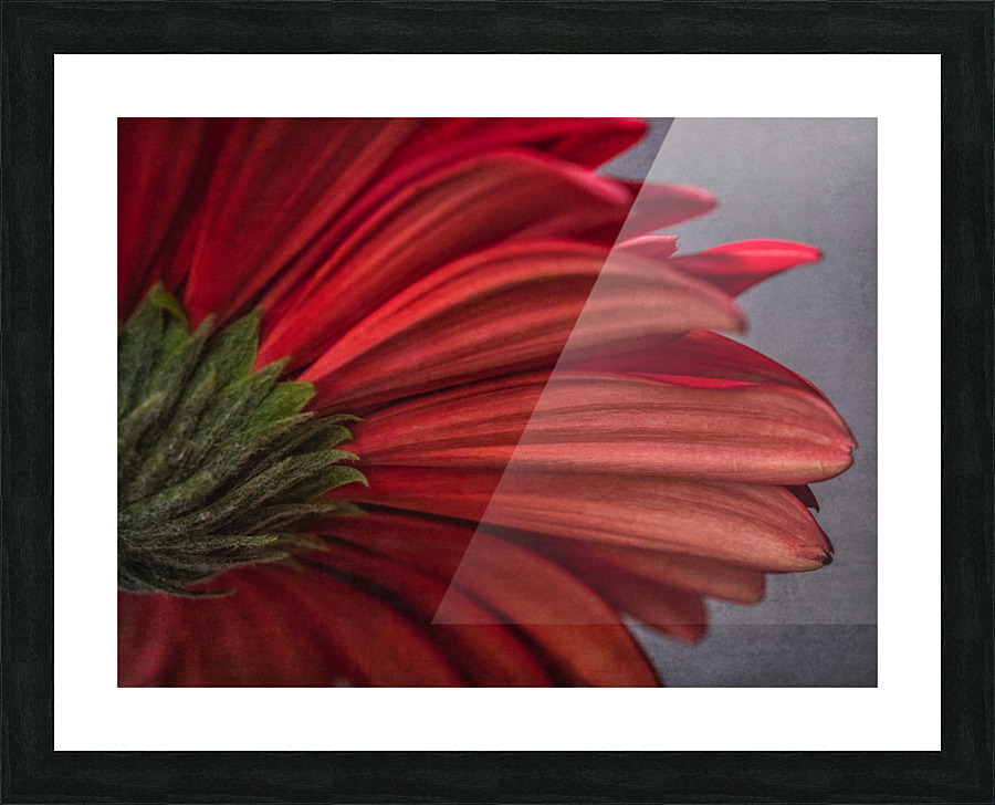 Red mood 10 Picture Frame print