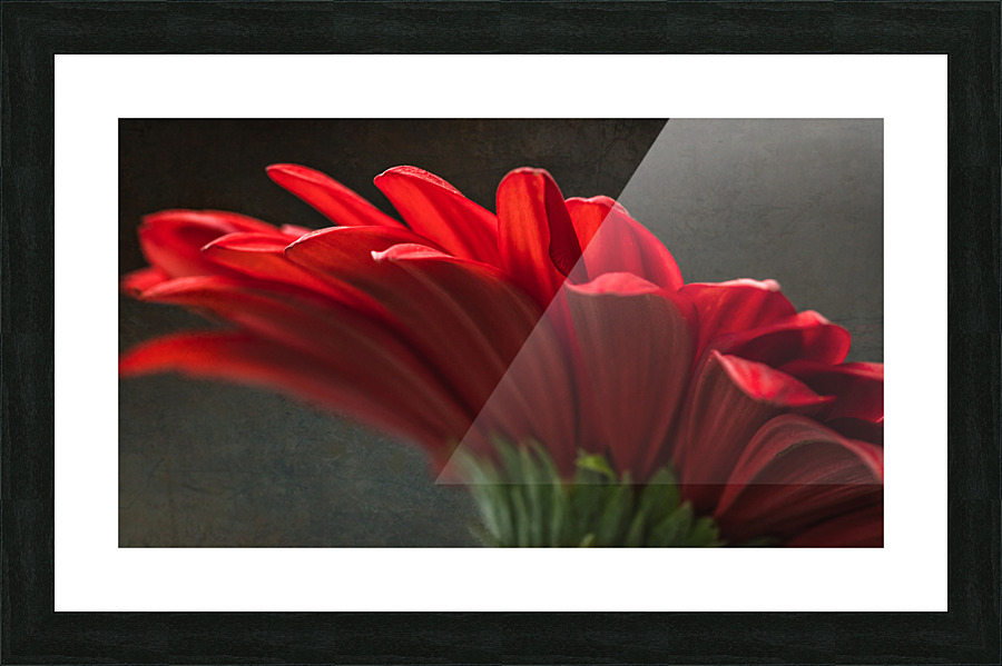 Red mood 11 Picture Frame print