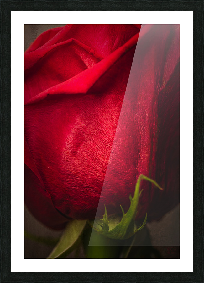 Red mood 12 Picture Frame print