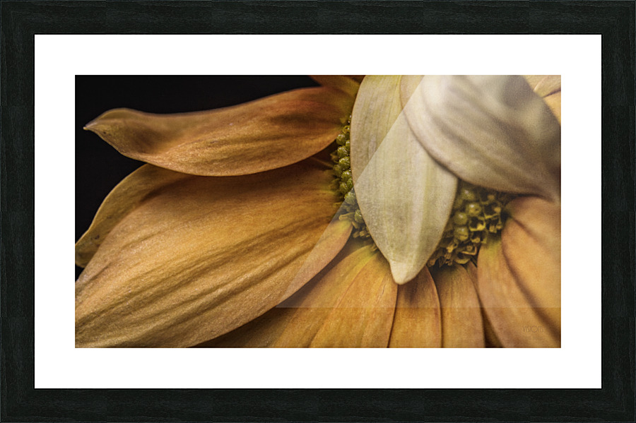 Yellow mood 2 Picture Frame print