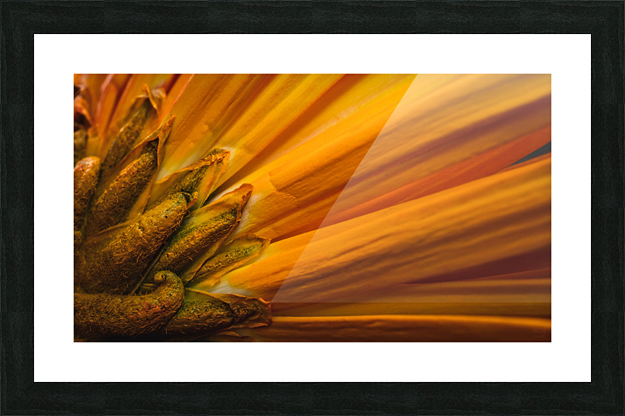 Orange mood 2 Picture Frame print