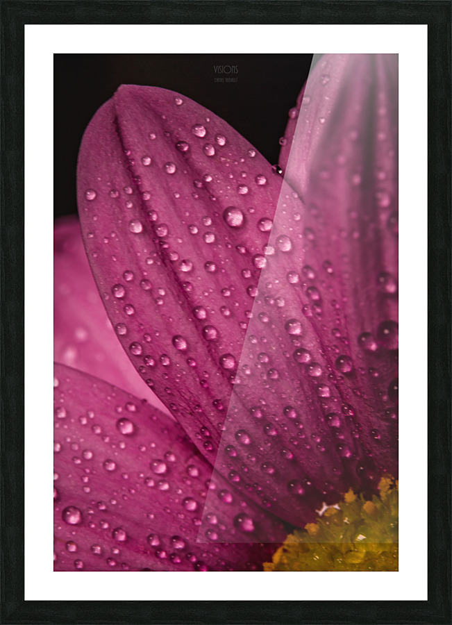 Pink Mood IV Picture Frame print