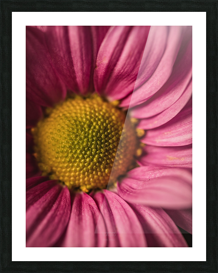 Pink Mood III Picture Frame print