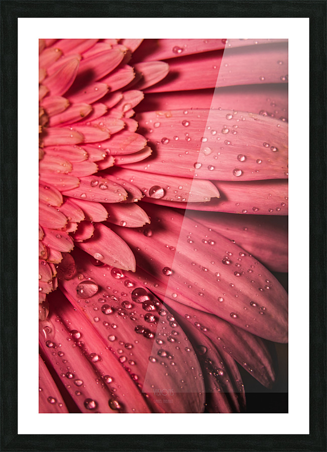 Pink Mood II Picture Frame print