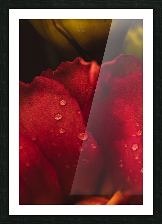 Red Mood XIII Picture Frame print
