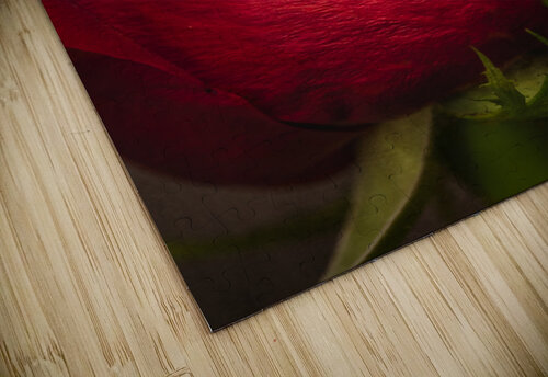 Red mood 12 Daniel Thibault artiste-photographe puzzle