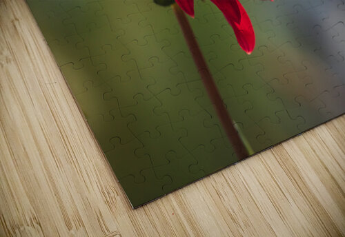 Les fleurs de Jade III Daniel Thibault artiste-photographe puzzle