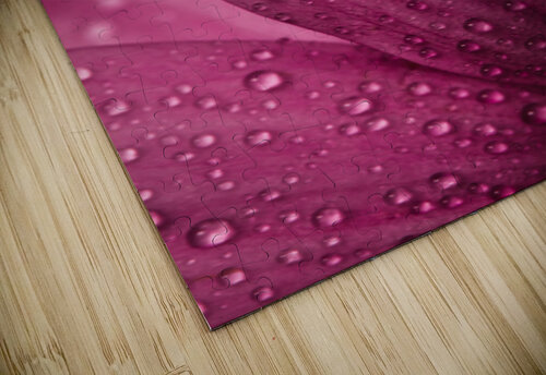 Pink Mood IV Daniel Thibault artiste-photographe puzzle