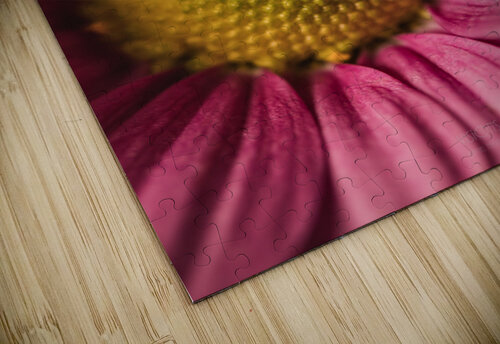 Pink Mood III Daniel Thibault artiste-photographe puzzle