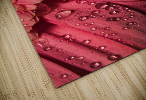Pink Mood II Daniel Thibault artiste-photographe puzzle