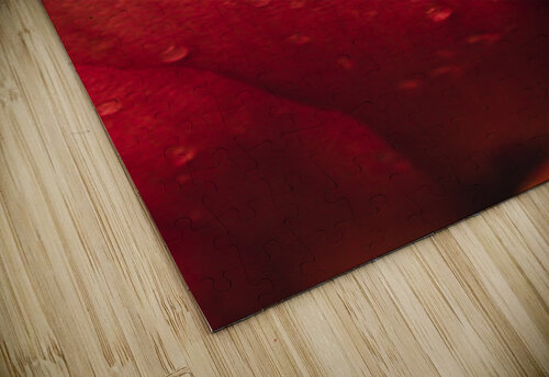 Red Mood XIII Daniel Thibault artiste-photographe puzzle