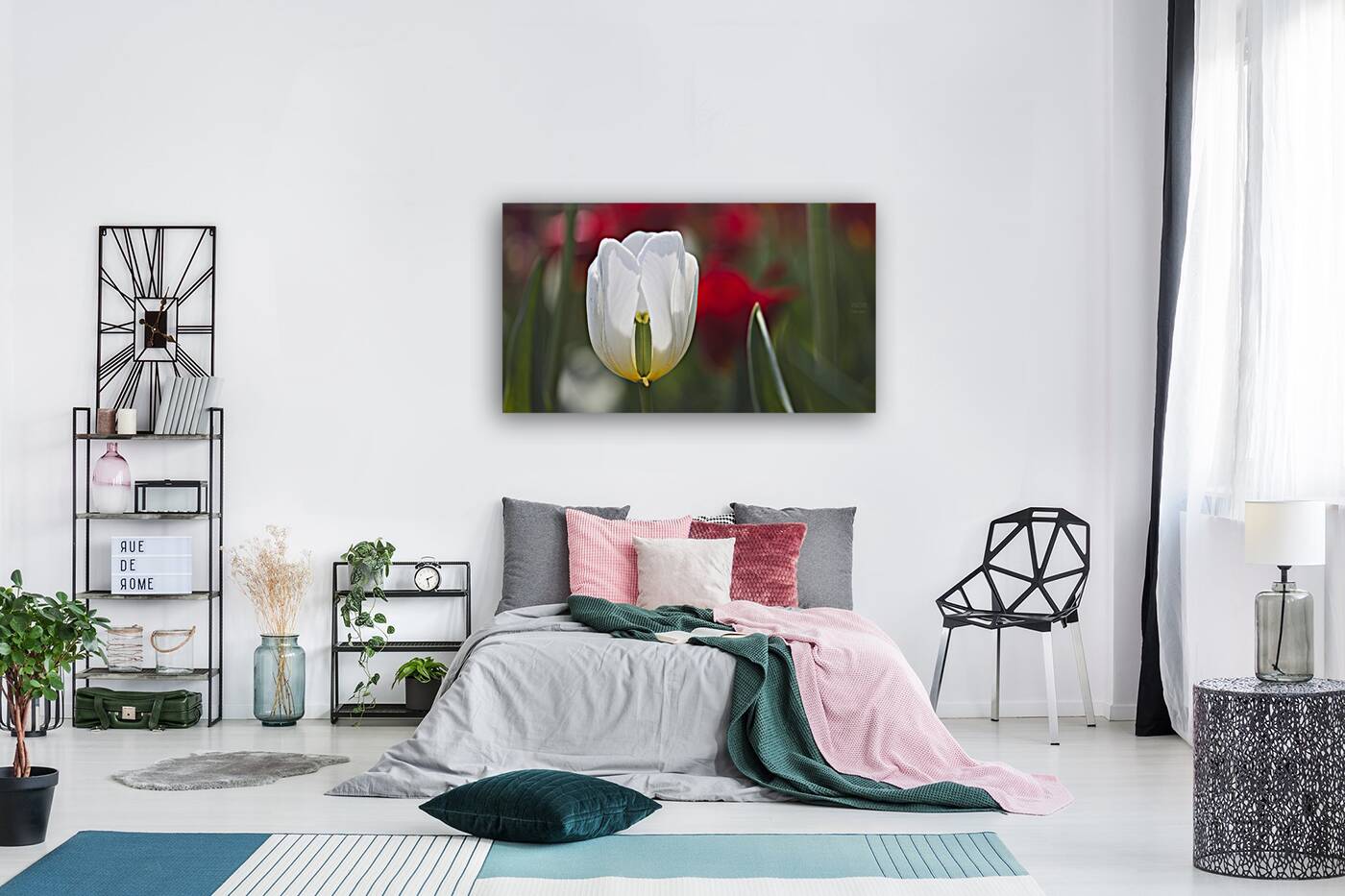 1Q8A7915 Reproduction