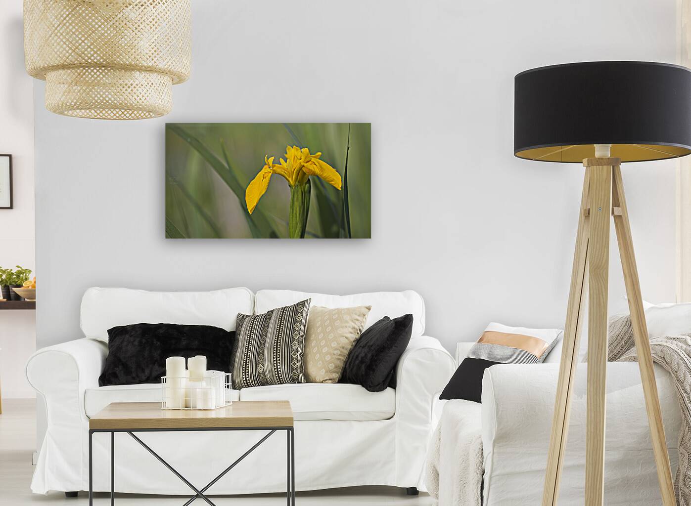 1Q8A8173 Reproduction