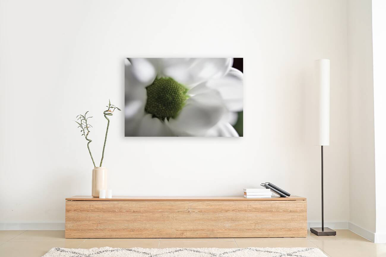 044A0531 2 Reproduction