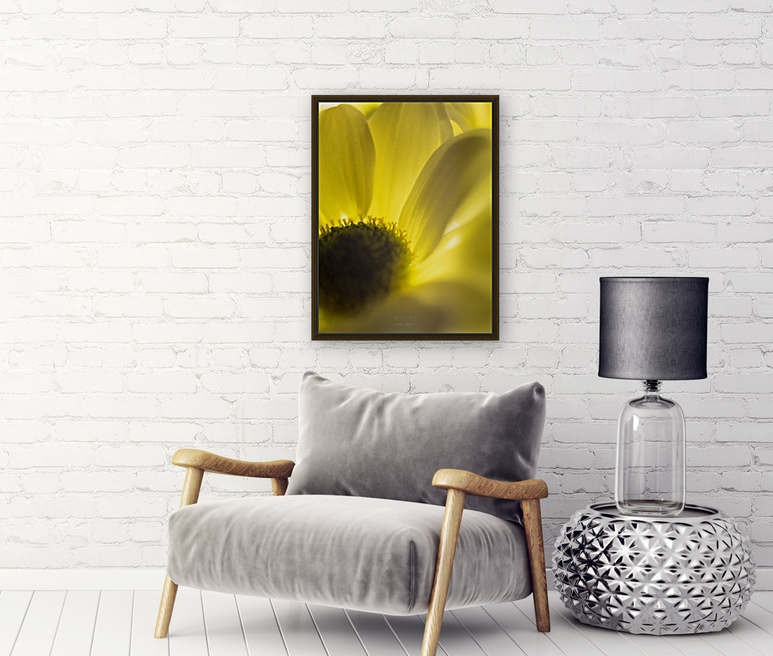 Jaune 4 Reproduction