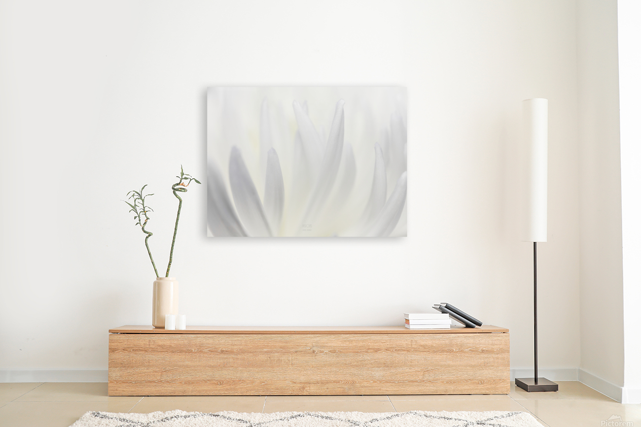 White Mood  Reproduction