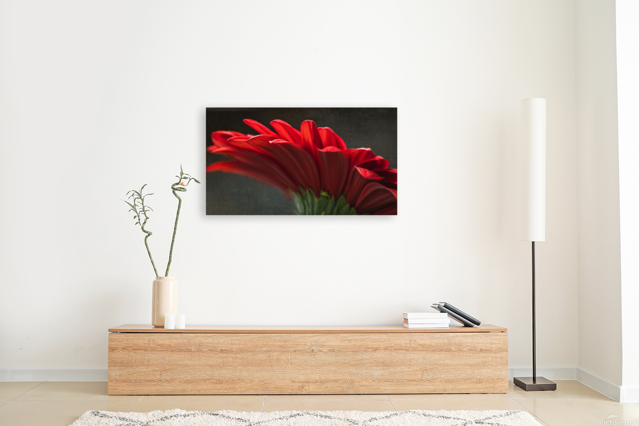 Red mood 11 Reproduction