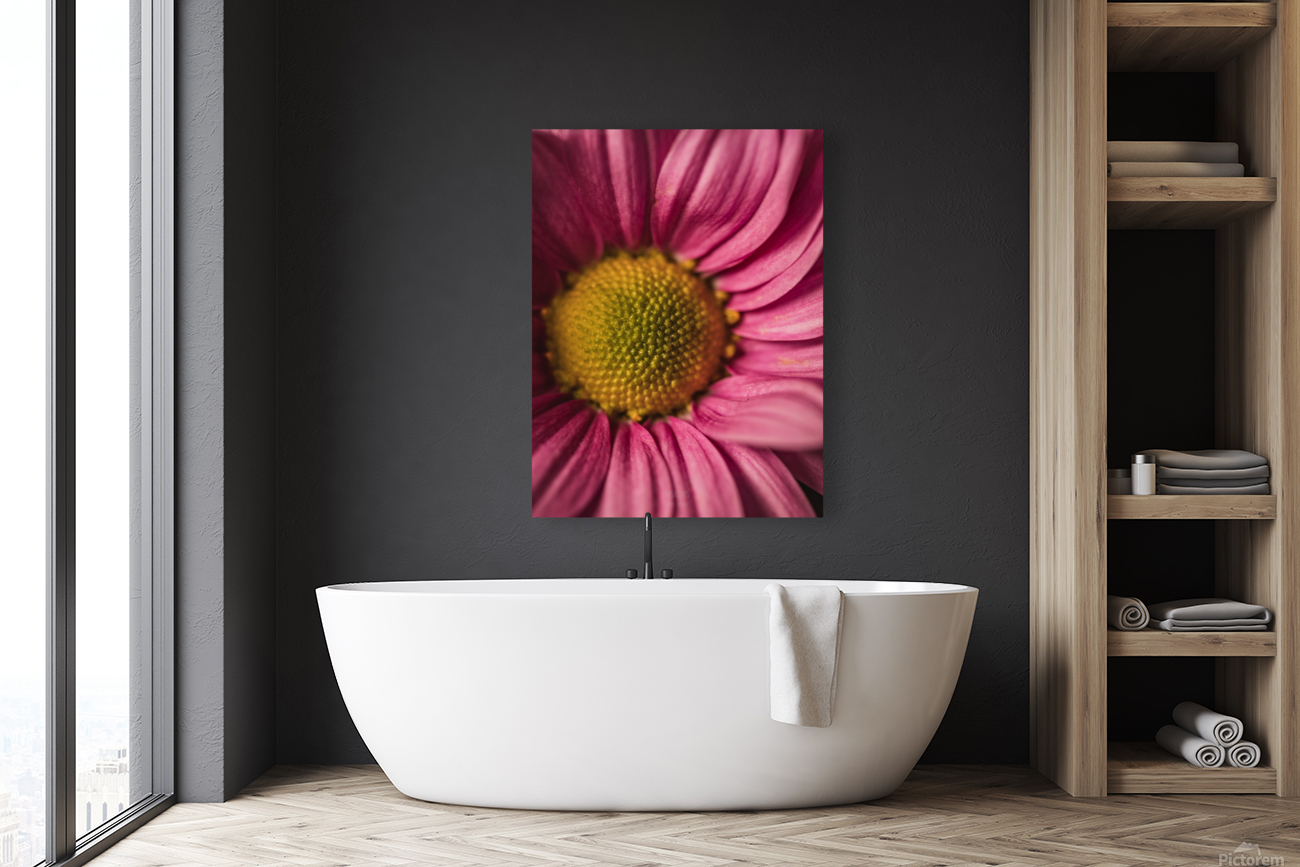 Pink Mood III Reproduction