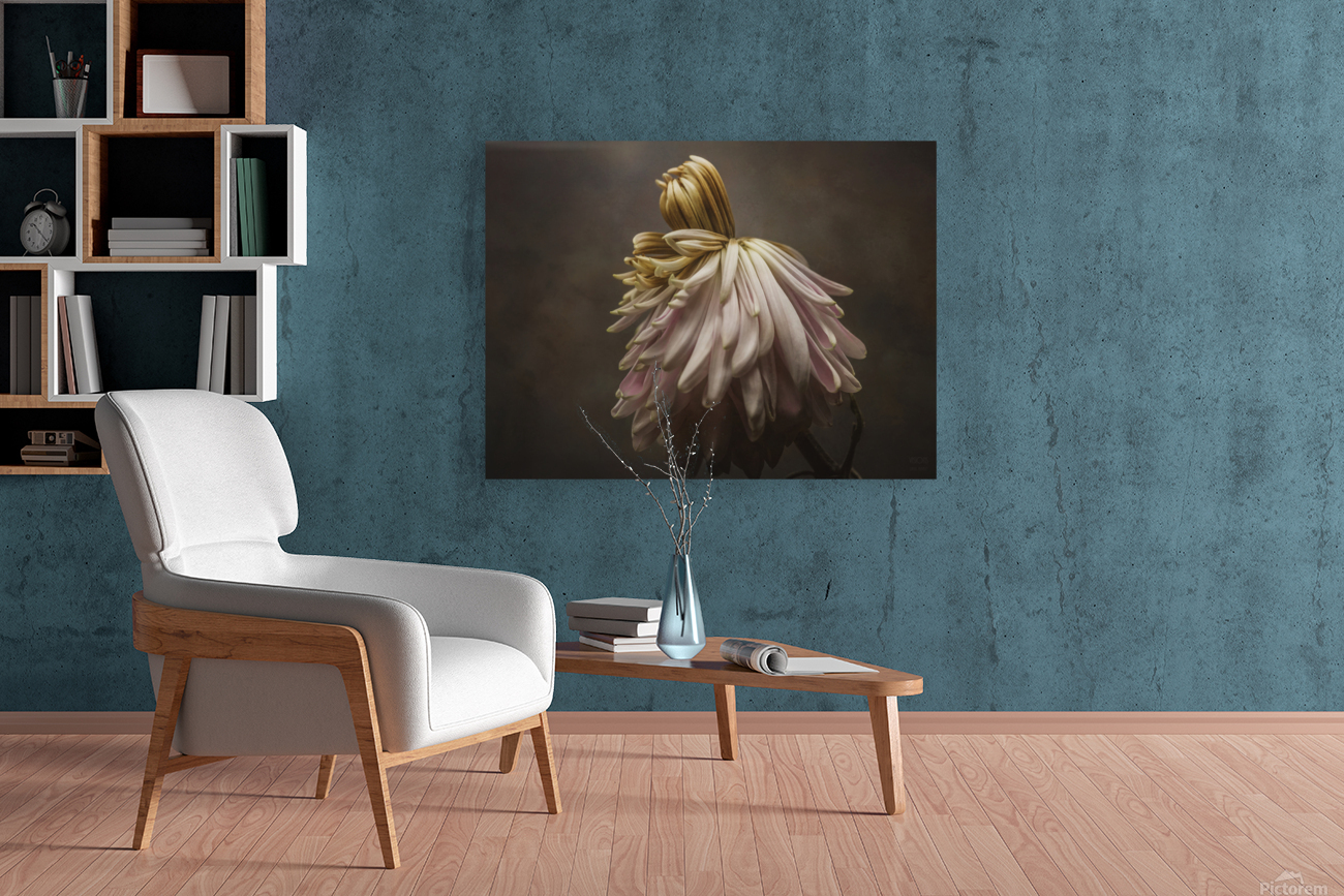 Sweet Angeline Reproduction