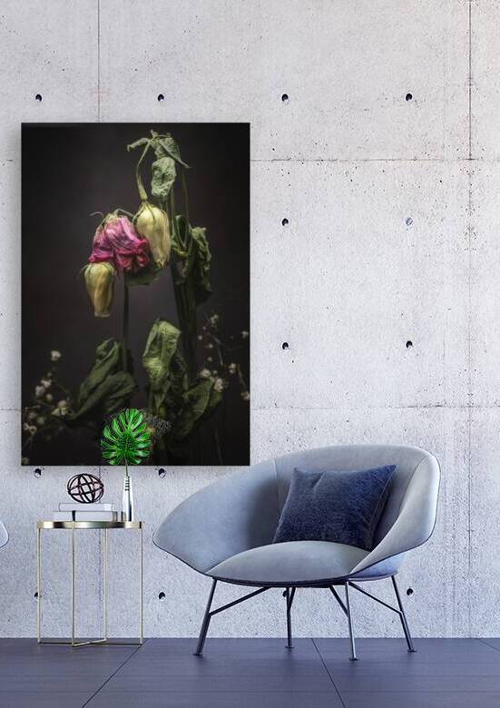  44A6892 by Daniel Thibault artiste-photographe