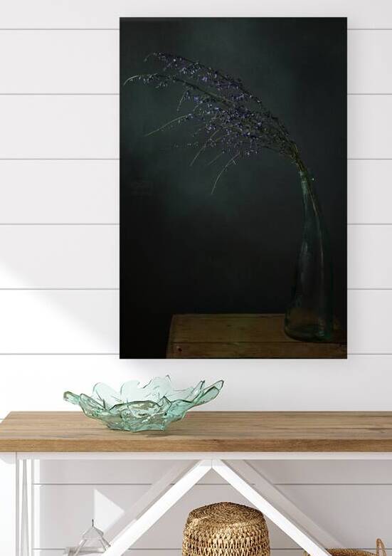 1Q8A7526 Reproduction