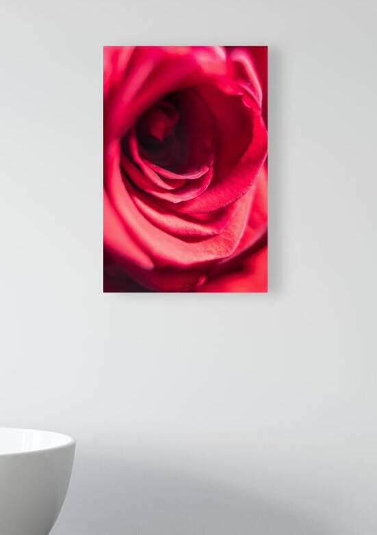044A0522 Reproduction