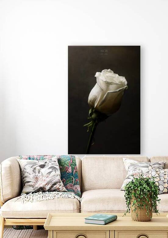 044A0719 Reproduction