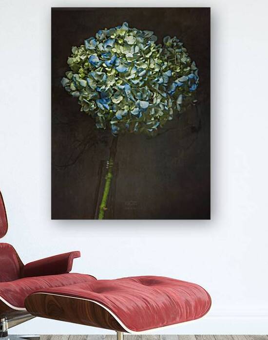 085A7091 Reproduction