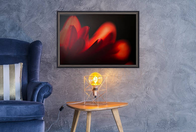 Red Rose Reproduction