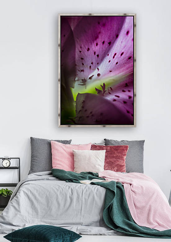 Pinky 2 by Daniel Thibault artiste-photographe