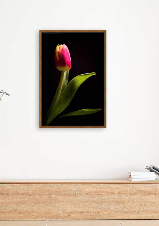 Etude Zen  9 d Reproduction
