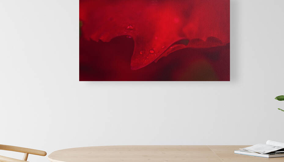 Red Mood 4 Reproduction