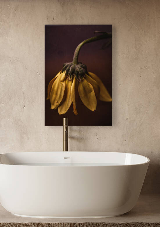 Yellow mood  by Daniel Thibault artiste-photographe