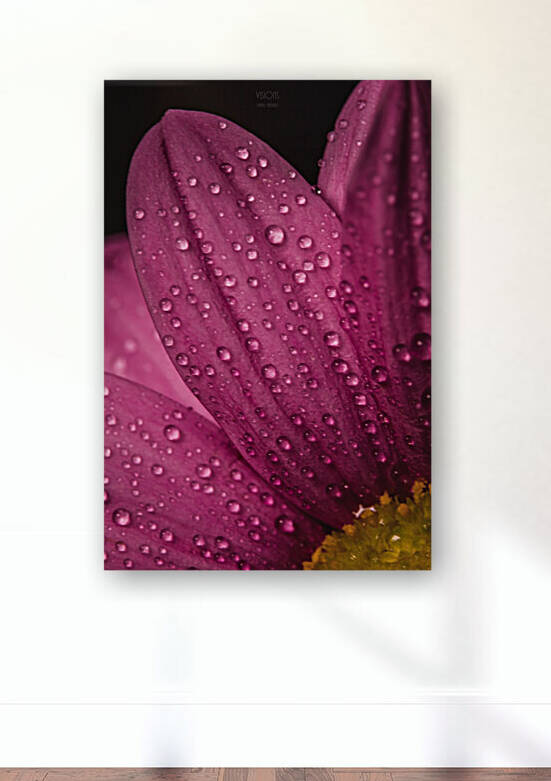 Pink Mood IV by Daniel Thibault artiste-photographe
