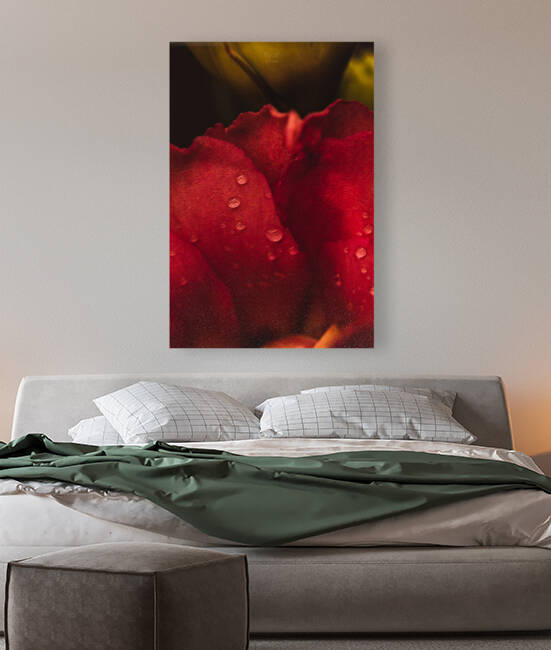 Red Mood XIII by Daniel Thibault artiste-photographe