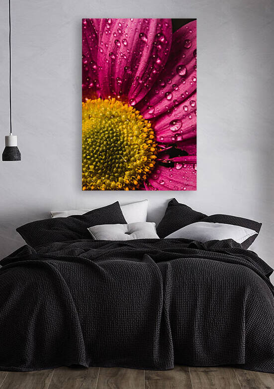 Pink mood by Daniel Thibault artiste-photographe