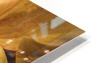  44A6419 HD Metal print