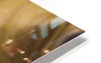  44A6418 HD Metal print