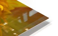  44A6282 Impression metal HD