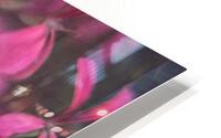  44A7872 HD Metal print