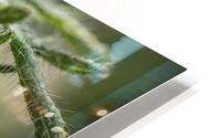  44A7599 Impression metal HD
