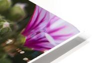  85A3261 HD Metal print
