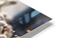  85A3609 HD Metal print