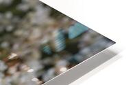  85A3900 HD Metal print