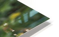  85A3842 HD Metal print