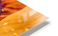  85A4615 HD Metal print