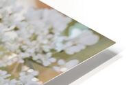  85A3897 HD Metal print