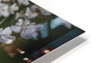  85A3905 HD Metal print